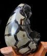 Septarian Dragon Egg Geode - Black Calcite Crystals #33987-2